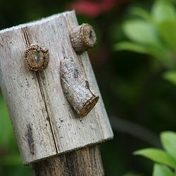 Een houten voorwerp gemaakt in een creatieve bui